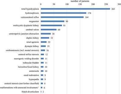 Factors Associated With the Development of Chronic Kidney Disease in Children With Congenital Anomalies of the Kidney and Urinary Tract